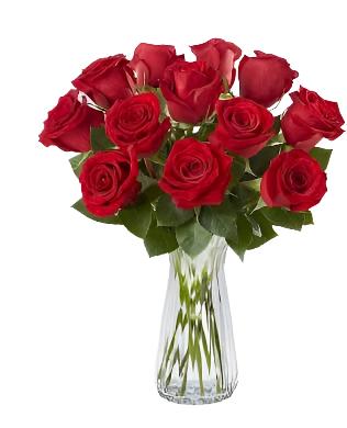 Designer Choice - Dozen Roses